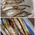 ひっこ's cooksnap of when they made 簡単綺麗に焼きししゃも〜(o˘◡˘o)♡.