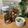 myacooking's cooksnap of when they made 100均で！サクサクアソート クッキー.