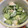 さおりん@料理特訓中's cooksnap of when they made きゅうりとゆで卵のツナマヨサラダ.