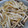 こうのとりヒロシ's cooksnap of when they made シンプル☆もやしとシメジの炒め物.