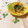 yesmama's cooksnap of when they made もやしと小松菜の胡麻和え お弁当に.