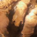 クックS5N2AF☆'s cooksnap of when they made えのきとアスパラの肉巻き♪.