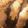 クックS5N2AF☆'s cooksnap of when they made えのきとアスパラの肉巻き♪.