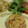 さぁ★たぁ★'s cooksnap of when they made 鳥ごぼう♪小さい炊飯器の炊き込みご飯.