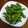 みとー's cooksnap of when they made ししとうのかわり炒め.