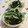 赤い電話's cooksnap of when they made わかめと玉ねぎのナムル.