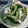 おちゃコロ's cooksnap of when they made ゴーヤーと鶏ささみの生姜醤油和え.