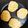 のりりん11's cooksnap of when they made 基本おからハンバーグ♪あるもので簡単薬膳.