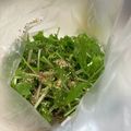 toshio39's cooksnap of when they made ビニール袋で簡単水菜のナムル風♪.