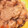 クックS5N2AF☆'s cooksnap of when they made ♪きくらげとごぼうのしっとりおから煮.