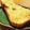 kurozata's cooksnap of when they made 生姜と蜂蜜とオリーブオイルのﾄｰｽﾄ.