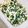 クックMO63WW☆'s cooksnap of when they made 絶品♡母の味☆大根の葉と豆腐の味噌炒り煮.