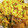 ドレッド69s's cooksnap of when they made すぐできる★こんにゃくの卵とじ.