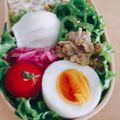 hiroerico's cooksnap of when they made お弁当やご飯に❗ピーマンとツナの甘辛煮.
