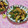 みかかめ's cooksnap of when they made ナスの辛味噌炒め.