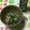 おはなすき's cooksnap of when they made しらすねぎ.