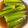 さちぶた♪'s cooksnap of when they made やみつき！オクラの煮びたし.
