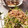 月✳Iris's cooksnap of when they made 豆苗ともやしのお浸し.