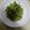 moniqro555's cooksnap of when they made 豆苗のナムル.