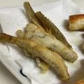 MIRAI219's cooksnap of when they made 簡単すぎてスイマセン…ハゼのから揚げ.