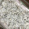 Iwanao1964's cooksnap of when they made 静岡の生しらすを使った釜揚げしらす.