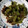 クック2RY65M☆'s cooksnap of when they made あと一品！ピーマンのおかか和え.