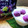 プルンバゴ's cooksnap of when they made アイスの実ヨーグルト.