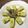 Yokchina's cooksnap of when they made ＊ネギ塩味の卵焼き＊.
