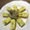 Yokchina's cooksnap of when they made ＊ネギ塩味の卵焼き＊.