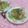 みかかめ's cooksnap of when they made まぐろのお刺身と水菜の山葵マヨサラダ.