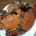 じーん☆'s cooksnap of when they made モクズガニと油揚げの炊き込みご飯.