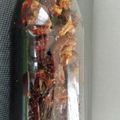 シビリキン's cooksnap of when they made 自家製だし醤油　プロフェッショナル覚書.