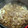 じゃりてん's cooksnap of when they made 生姜をすりおろさない★豚の生姜焼き.