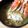 ∞らら∞'s cooksnap of when they made シンプル素材で最高のカニ汁を。.