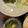 eiyoushi's cooksnap of when they made 【保育園給食】ポリポリきゅうり.