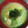 ムーミン☆ママ's cooksnap of when they made 豆腐とたまねぎとわかめのみそ汁.