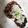 くむちん's cooksnap of when they made 基本のハンバーグ＠色々バリエ♪.