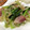 ♪チョコたんママ♪'s cooksnap of when they made ベーコンと小松菜ともやしの炒め物.