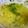たんぽぽしぃ's cooksnap of when they made かぼちゃのリゾット.