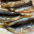 手抜きマン's cooksnap of when they made いわしのショウガ煮.