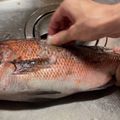 そろそろねんね's cooksnap of when they made 超簡単！魚のうろこの取り方.