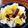 んーまっ's cooksnap of when they made 白だし　さつまいもご飯.