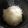☆ayami☆26's cooksnap of when they made 栗ごはん.