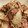 jltgaz's cooksnap of when they made エリンギとえのきのバター炒め♩.