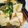 サカサ嫁's cooksnap of when they made 小松菜と豆腐の中華煮♪♪.