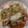 ConneQTゆん's cooksnap of when they made 白菜と豚バラ肉の旨煮.