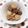 ﾁｲﾁｬﾝﾏﾏ's cooksnap of when they made コンニャクと里芋の甘辛煮.