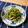 クック7YH7SY☆'s cooksnap of when they made ピーマン、しめじ、ひき肉のカレー炒め.
