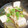 ブランシュkuu's cooksnap of when they made 舞茸と豆富のお吸い物.