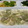 うみ7979's cooksnap of when they made ★豆腐とシーフードのとろとろ煮★.